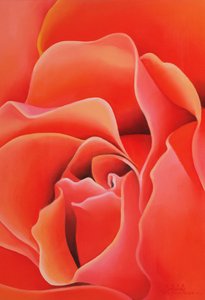 De Roos, 2003